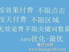 【優化公司一流的東莞優化來自瑞博網絡信息科技公司】-