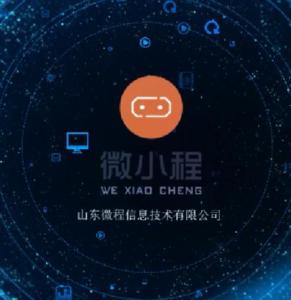 山東微程信息技術(shù)